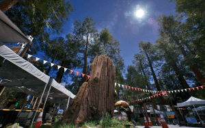 Environnement extérieur pour montrer la maîtrise des textures et des lumières : vraiment très beau.