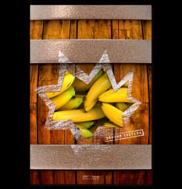 l-histoire-de-donkey-kong-1