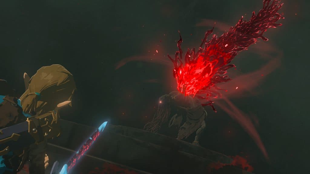 The Legend of Zelda - Tears of the Kingdom. 23