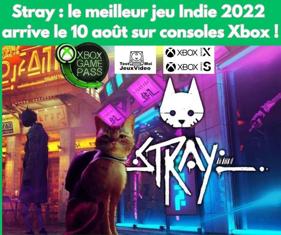 10 août : épopée du chat Cyberpunk Stray via Xbox GamePass