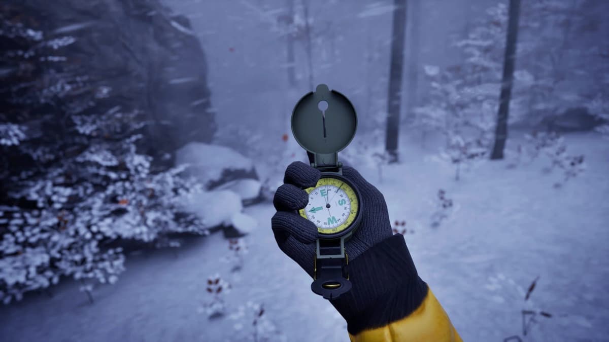 Screenshot from Prologue: Go Wayback!
