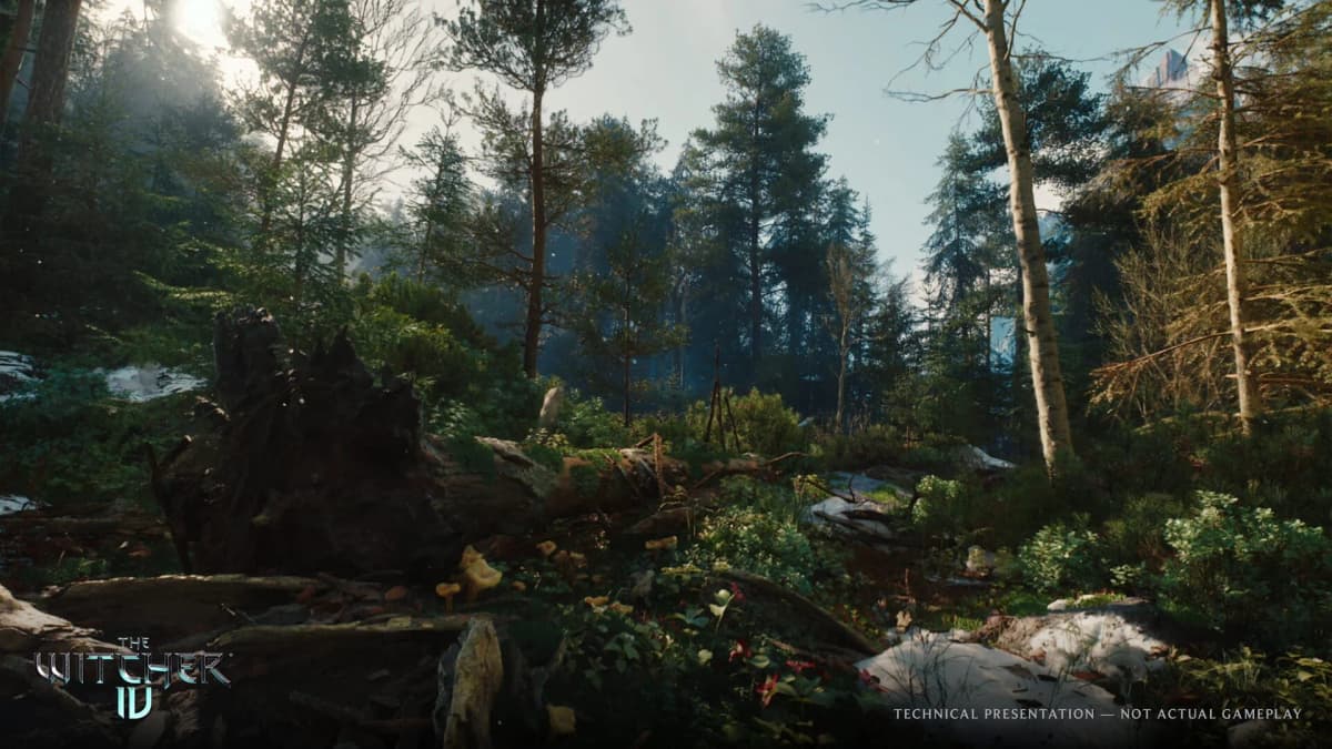 The Witcher 4 promet une boîte, pas forcément le disque que les collectionneurs attendent