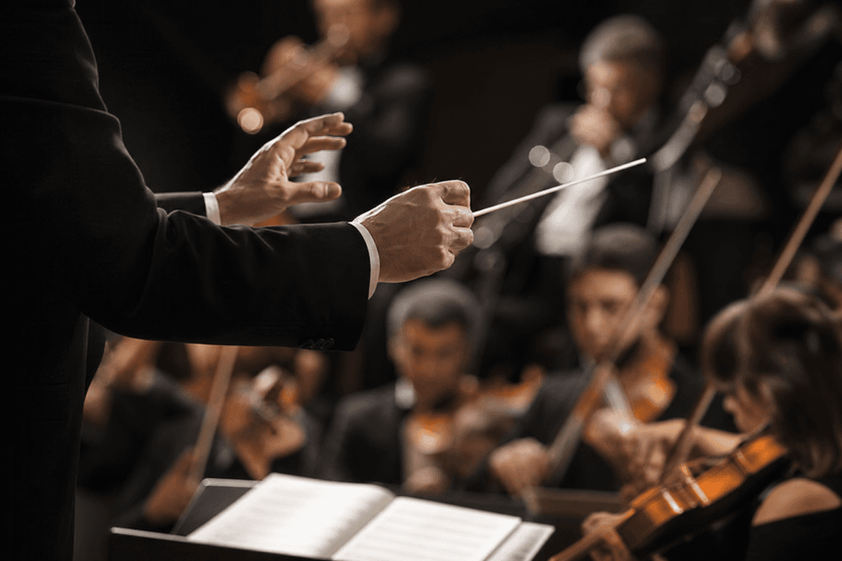 Orchestra performance visual to represent the concert’s musical focus.