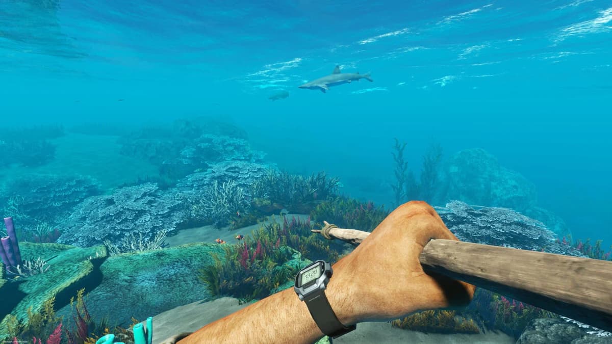Screenshot from Stranded Deep